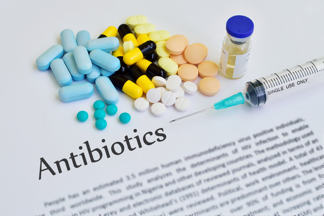 Mikrobiom-támogatás antibiotikumkezelés idején: segítenek a prebiotikus rostok