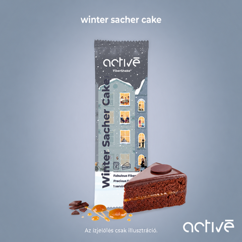 winter sacher cake