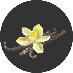 vanilla