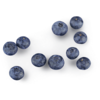 Rost kalkulátor – activé FiberShake