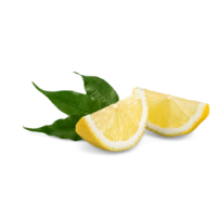 Rost kalkulátor – activé FiberShake