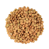 Rost kalkulátor – activé FiberShake