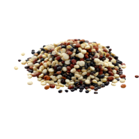 Rost kalkulátor – activé FiberShake